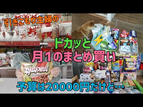 【まとめ買い】月に一度の楽しみ👛DAISO&激安スーパーで日用品まとめ買い💁