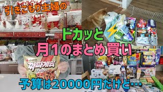 【まとめ買い】月に一度の楽しみ👛DAISO&激安スーパーで日用品まとめ買い💁