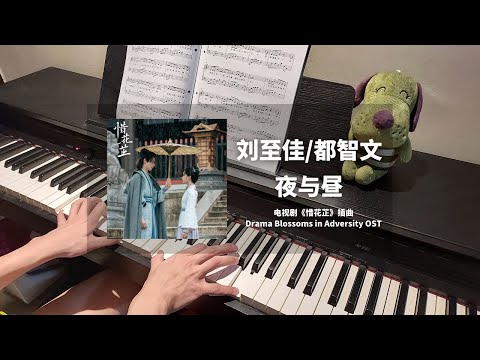 刘至佳 & 都智文 - 夜与昼 钢琴抒情版【惜花芷 Blossoms in Adversity OST】插曲 Piano Cover | 钢琴谱 Piano Sheet