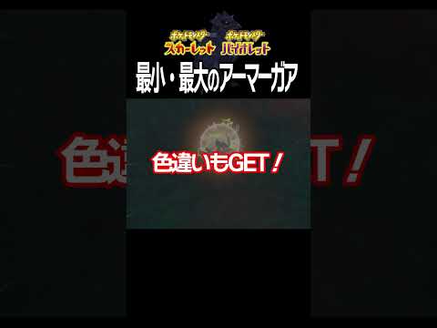 【大きさ比較】アーマーガア編【ポケモンSV】#Shorts