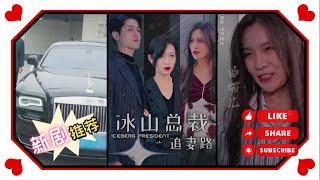 冰山总裁追妻路全集The Complete Works of Bingshan CEO Chasing His Wife | 超爽短剧 | 上头短剧 | 精彩短剧 | 霸道总裁 | 全集完整 |