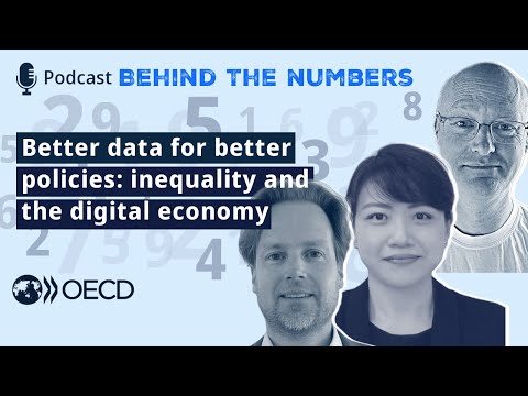 Better data for better policies: inequality and the digital economy