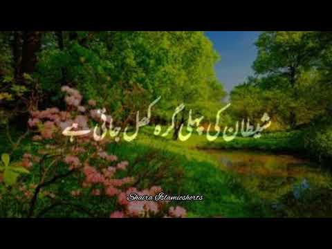 Jo Log Subah Der Se Uthte Hai Na 🥀 | Islamic WhatsApp Status |