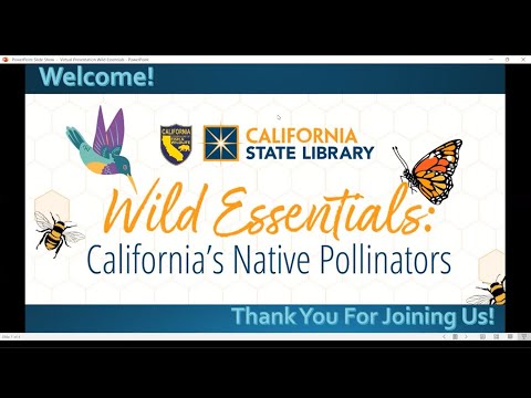 Wild Essentials: California’s Native Pollinators