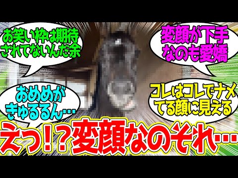 シャフリヤールの変顔…に対するみんなの反応！【競馬 の反応集】