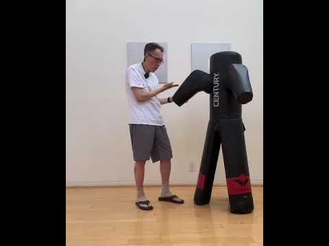 6 basic sticking body short strike Wing Chun dummy techniques. The foundation of Wing Chun sparring.