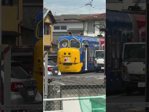 変わった電車いた！！（熱中症🤪？）