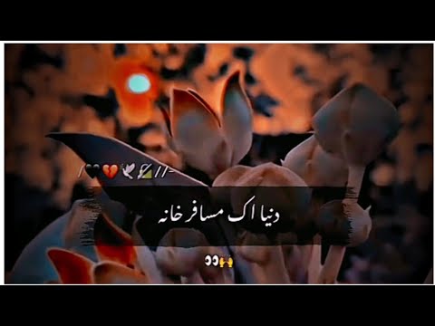 mian muhammad bakhsh❣kalam punjabi👌||Dunya ik musafir khana🥰|Urdu Poetry Status🥀|Urdu Shayari Status