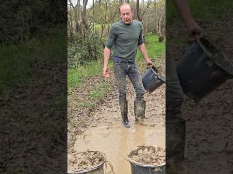 Topping up the slop quarry #topsoil #mud #exercise #landscaping #cats #adventure #motivation #ideas