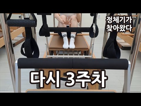 스위치온 다이어트 다시 3주차 후기 | 정체기 중 매일 운동함 |  단백질 쉐이크 챌린지 | 인바디 결과 비교 공개 | 다이어트 식단과 단식