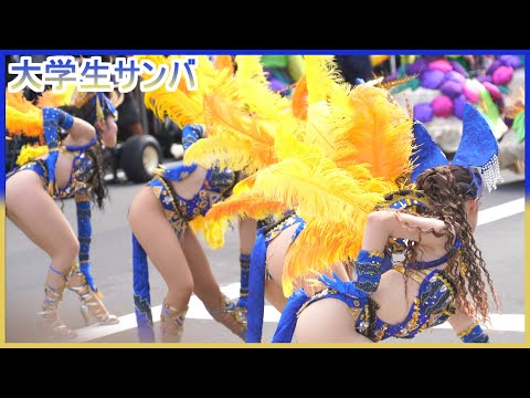 4K 大学生 浅草サンバカーニバル 2024 S1-⑤ ウニアン・ドス・アマドーリス Asakusa Samba Japan 追いかけバージョン