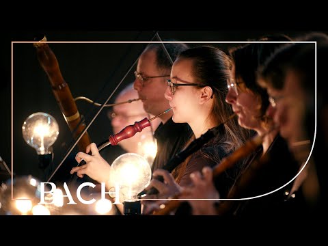 Bach - Und es waren Hirten from Christmas Oratorio BWV 248 - Sato | Netherlands Bach Society