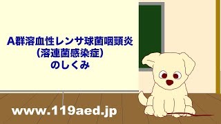 【39】A群溶血性レンサ球菌咽頭炎（溶連菌感染症）のしくみ