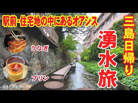 【富士山湧水】 三島日帰り湧水旅  ～駅から全部徒歩圏内の観光～【週末Ａ散歩 vol.036】