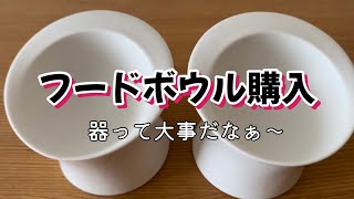 愛犬が心地よく食事ができるフードボウル（食器）を購入！食べてる姿勢が良くなった