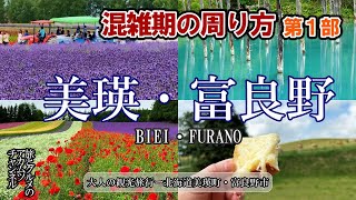 Best season [Biei/Furano tourism] How to get around during the busy season