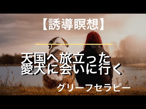 天国へ旅立った愛犬に会いに行く（グリーフセラピー）《誘導瞑想》ペットロスを癒していきましょう