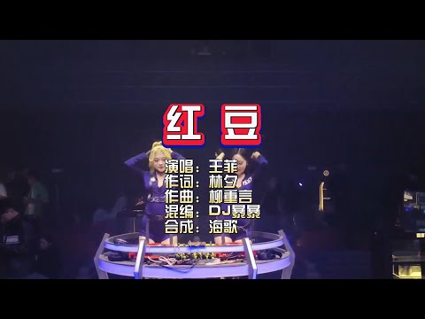 王菲《红豆》DJ暴暴 Electro Rmx KTV 导唱字幕 （备有伴奏视频）