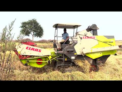 Harvesting | Combine Harvester | Claas CT 40 | Paddy Harvesting