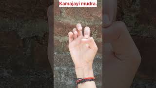 Kamajayi mudra ✨️#yoga #yogaforbeginners #yogapractice #mudra #meditation