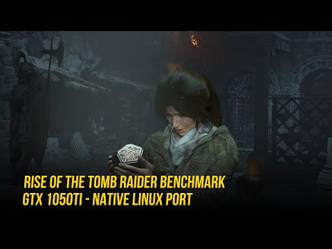 Rise of the Tomb Raider Benchmark GTX 1050Ti 4GB | Linux Native Port, Not Proton