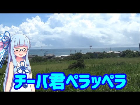 【18きっぷ東北縦断】#2:房総半島一周鉄道の旅中編 チーバ君の富津岬問題【VOICEROID旅行】