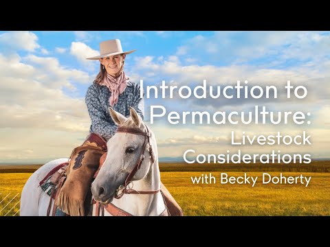 Introduction to Permaculture (4/5): Livestock Considerations