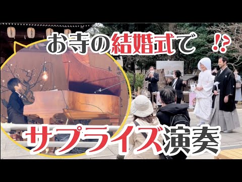 【布多天神社】3/22🌸春のベヒシュタインコンサート🌸