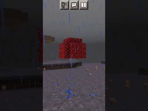 mushroom biome in Minecraft