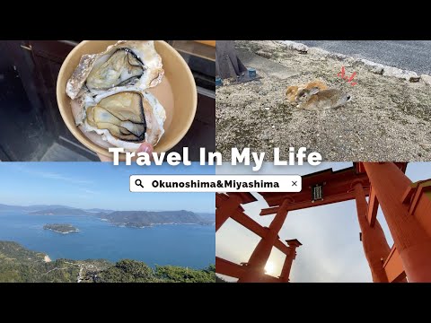 【廣島vlog】ep.2 大久野島兔子遍地跑-兔子島🐰二次挑戰廣島燒🔥世界遺產嚴島神社大鳥居⛩️宮島纜車排隊一小時🚡彌山快閃、宮島商店街吃吃喝喝