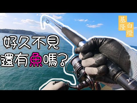 快兩個月沒來白燈了，不知道還有沒有魚啊??? #LPGM5 #廖排 #白燈 #岸拋 #煙仔 #瓜瓜