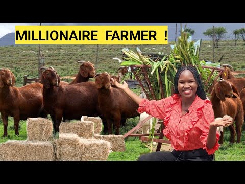 What We Feed GOATS For Faster Growth! | More PROFITS & Cutting COSTS,2024