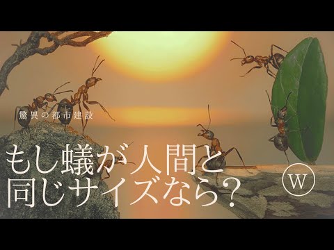 アリがもし人間と同じサイズなら…驚異の都市建設、食欲の秘密、異常な力の正体とは？