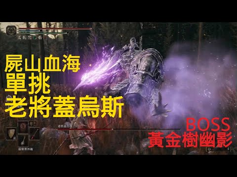 屍山血海單挑老將蓋烏斯-黃金樹幽影BOSS戰(艾爾登法環DLC)-Commander Gaius SOLO FIGHT ELDEN RING DLC BOSS FIGHT