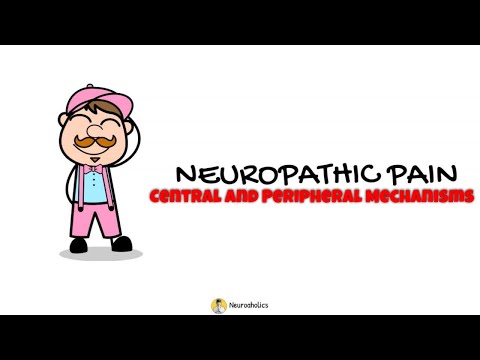 Neuropathic Pain | Central and Perihperal Mechanism | Neuroaholic