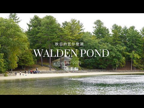 Walden Pond in autumn (also visited Concord, MA)｜梭罗笔下的瓦尔登湖 后面还去了隔壁Concord转了一圈