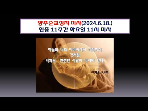 양주순교성지 미사(연중제11주간 화요일 11시 미사 2024.6.18,)