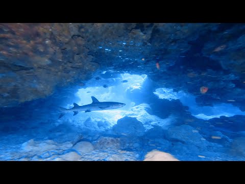 Mermaids Grotto