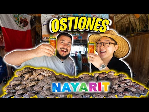 El PARAISO de los OSTIONES en NAYARIT