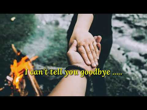 I  CAN'T SAY GOODBYE TO YOU /lyrics =By:Helen Reddy=