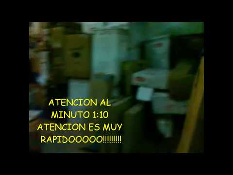 FANTASMA EN BODEGA   CHILE