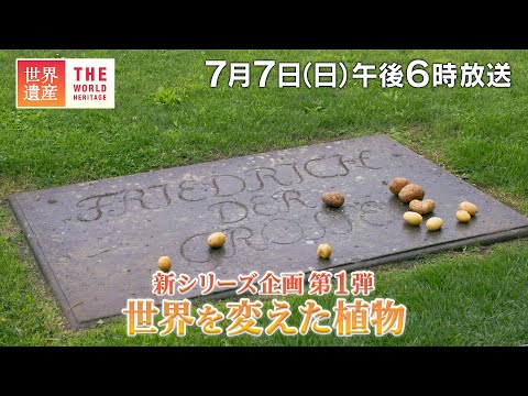 【TBS世界遺産】世界を変えた植物【7月7日午後6時放送】