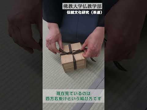 【仏教学科授業紹介】伝統文化研究(茶道)② 四方右掛けを体験してみよう編  #shorts