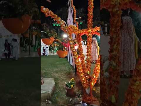 Flowers show🌼🌹🥀🌸🌲🌼🌻🌺 mathura #nightout #nightmood #flowers #show #youtubeshorts #ytshorts #views