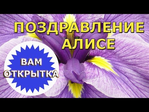 Поздравление Алисе