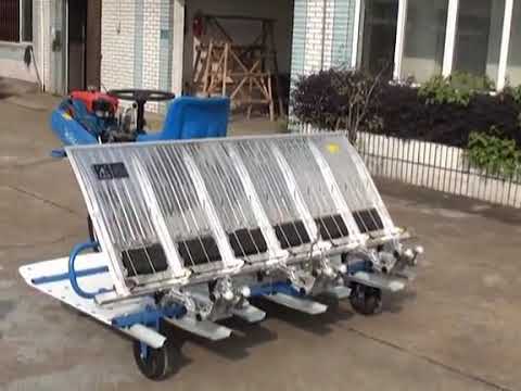 8Rows automatic rice transplanter with low price