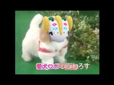 愛犬ロボレジわろす