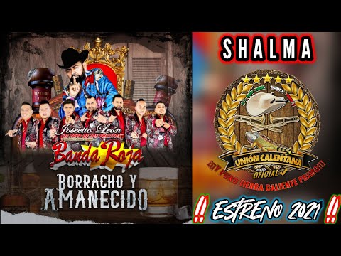 Shalma / Josecito León Y Su Internacional Banda Roja / ¡¡¡Estreno 2021!!!