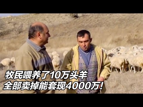 格鲁吉亚牧民：在山里喂养了10万只羊，全卖掉能赚4000万，纪录片