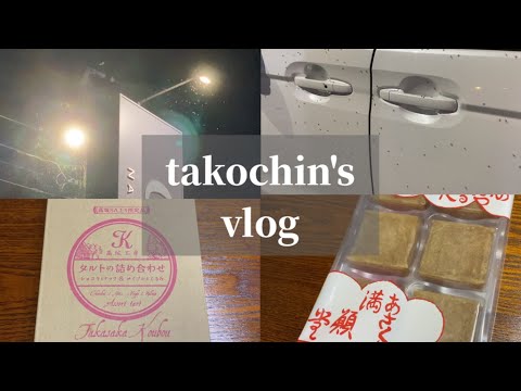 【vlog】閲覧注意‼︎ 虫虫虫！／ 満願堂芋きん&高坂SA上り限定タルト